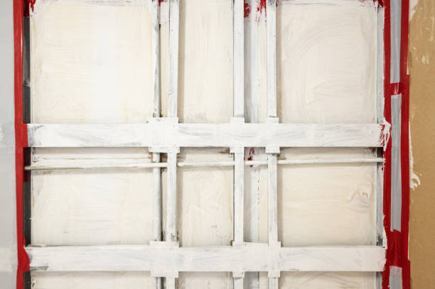 Best Airborne Mold Testing  in Vevay, IN
